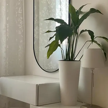 Coolkush Constanta